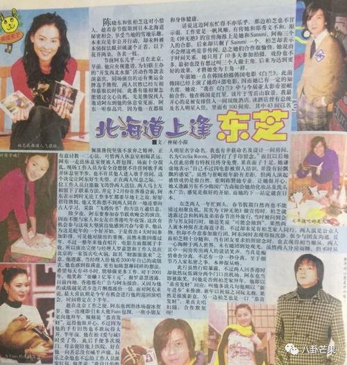 娱乐圈吃瓜的文案